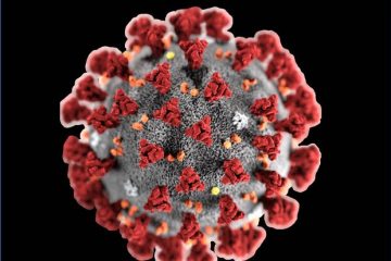 coronavirus