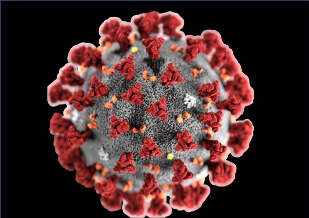 coronavirus